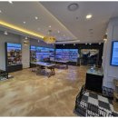 멋진강아지 이미지