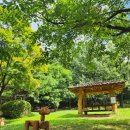 정발산공원 이미지