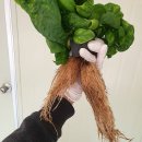 미드바르 IT동아