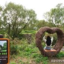 생태공원 이미지