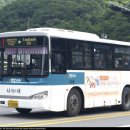 강원 74자 1008 네이버블로그