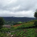 큰재목장가든 이미지