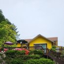 시나미 | 강릉 애견동반숙소 마운틴뷰 시나미68 애견펜션 방문후기