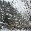 드림타운 이미지