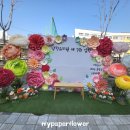 남천유치원 이미지