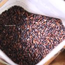 광이농장 이미지