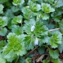 별이네농장 이미지