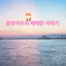 불량여우 티스토리