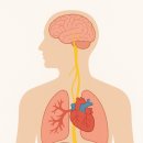 (주)신경 이미지