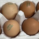 쉴만한 농원 이미지