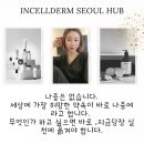 인셀덤홀릭 - 김포시 | 인셀덤홀릭