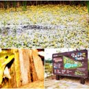 금와습지 생태공원 이미지