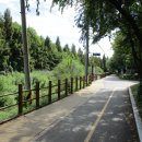 장수천 보행자도로 이미지