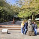 제주도택시투어 예약 우정여행에도 안전하게!