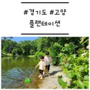 [경기도/고양] &#39;플랜테이션&#39; 리뉴얼 전과 후 비교 (feat. 개구리 파티)