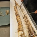 중문동-23 | 제주 서귀포 중문 맛집 갈치구이정식 단체로 방문하기 좋은 삼다통갈치