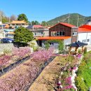 선학농장 이미지