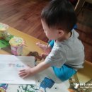 수와니홈 네이버블로그