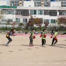 주례초등학교 이미지