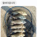 연안낚시터 이미지