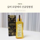 실버 로얄제리 산골 양봉원