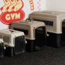 어니스트독(HONEST DOG) 이미지