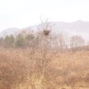 동읍733 이미지