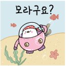 태림갈비 이미지