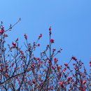 이룸오티디(ERum.otd)