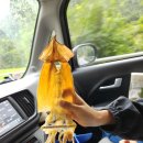 산솔면-10(대기교 앞) | [일상▪︎내 돈 내산] 9개월 아기, 9살 아이랑 셋이서 강원도 4박 5일 여행기 #3