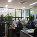 주식회사 기림 네이버블로그