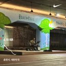 익스 | 데일리 러닝 무릎보호대 추천 아올라익스 무릎 보호대 사용후기