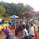 풀꽃농장 이미지