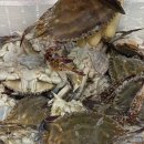 연안상회 이미지