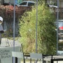 와와카페 이미지