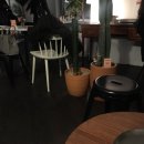 트레비엥