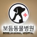 보듬동물병원 이미지