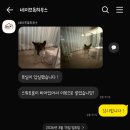 세이프독하우스 이미지