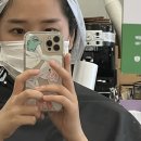 아르드설