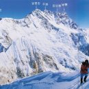 홀라우스 이미지