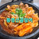 통영산곰장어 이미지