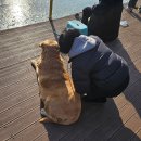 겨울데이트 &amp; 겨울가족근교여행 추천 '길상낚시터' 내돈내산 후기