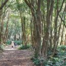 찐빵목장 이미지