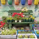 봉명어린이집 이미지