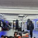 WS복싱클럽 원당점 이미지