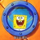 미화민박 | 11월 (1) :: 퇴사, 장염, 제주여행🍊🌿