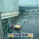 651 | 김포 대만 가오슝 티웨이 TW651 후기