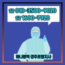 하나방역경주포항지사