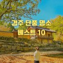 경주 단풍 명소 가볼만한곳, 베스트 10