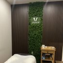 바디페이스 이미지